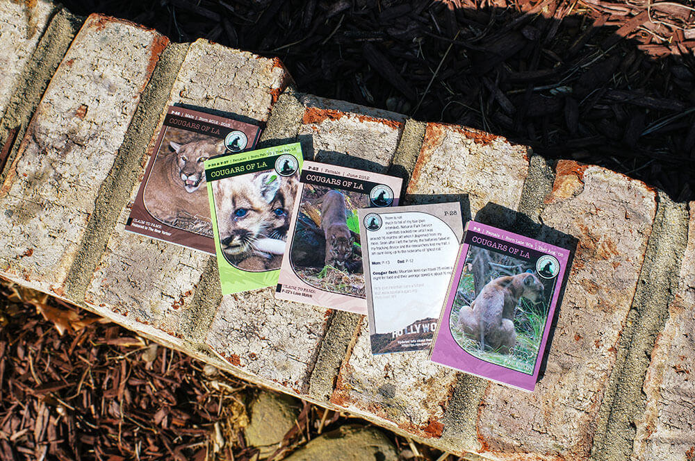 Custom Trading Cards My personal design style is very clean and simple, with lots of white space.