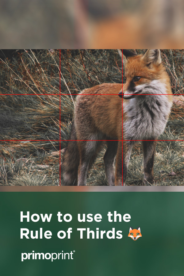 How to Use The Rule of Thirds for Your Print Design The rule of thirds is one of the most useful design principles. Learn how to incorporate the rule for your next print design.